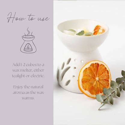Be Sunny Simmer Melt, Botanical Scented Wax