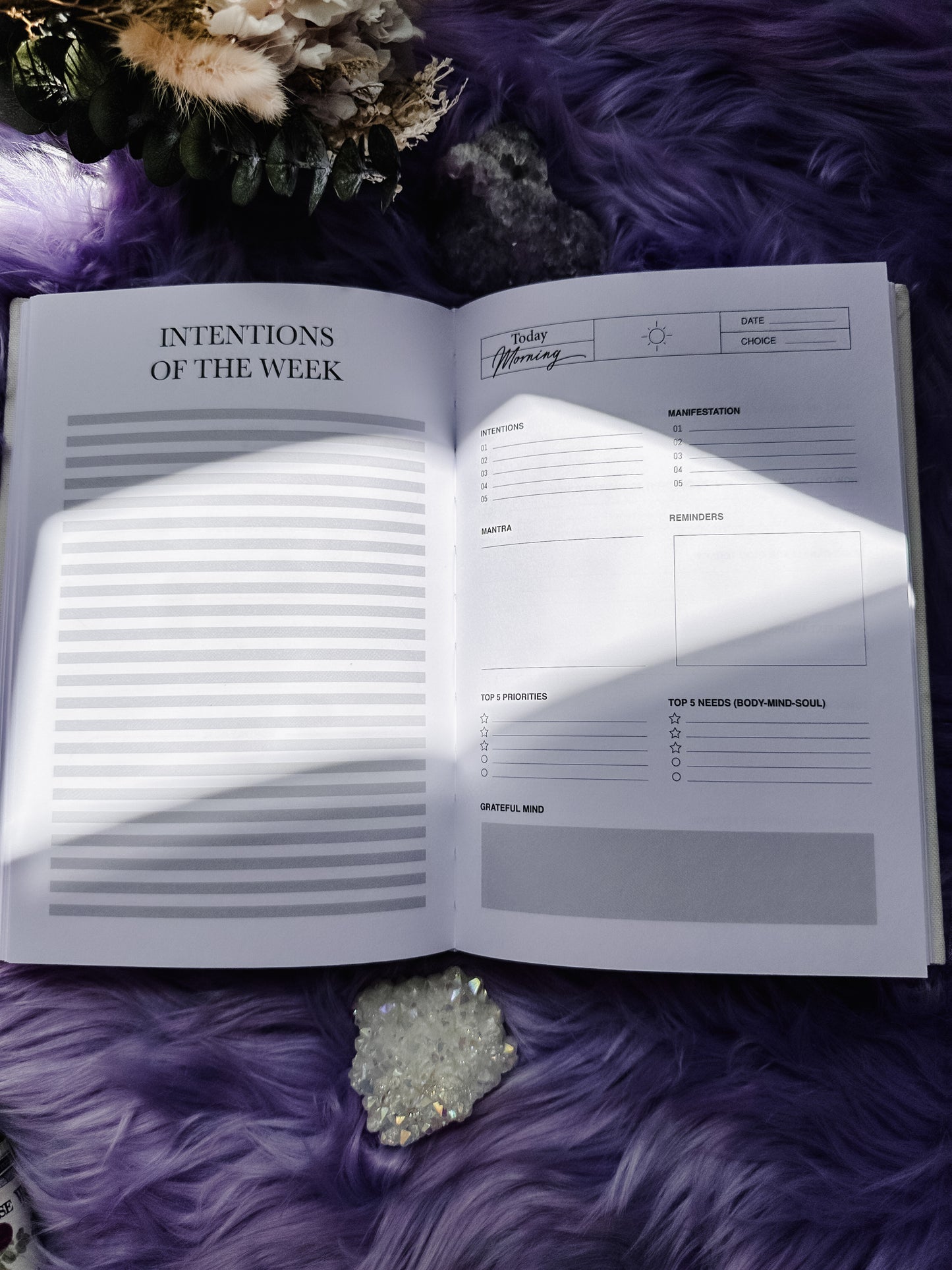 Attraction Journal