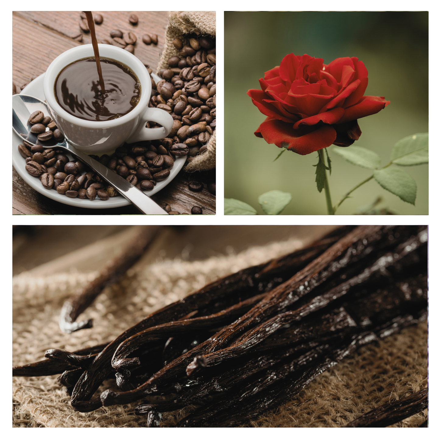 Be Chic Simmer Pot Mix, Natural Hazelnut Rose Aroma