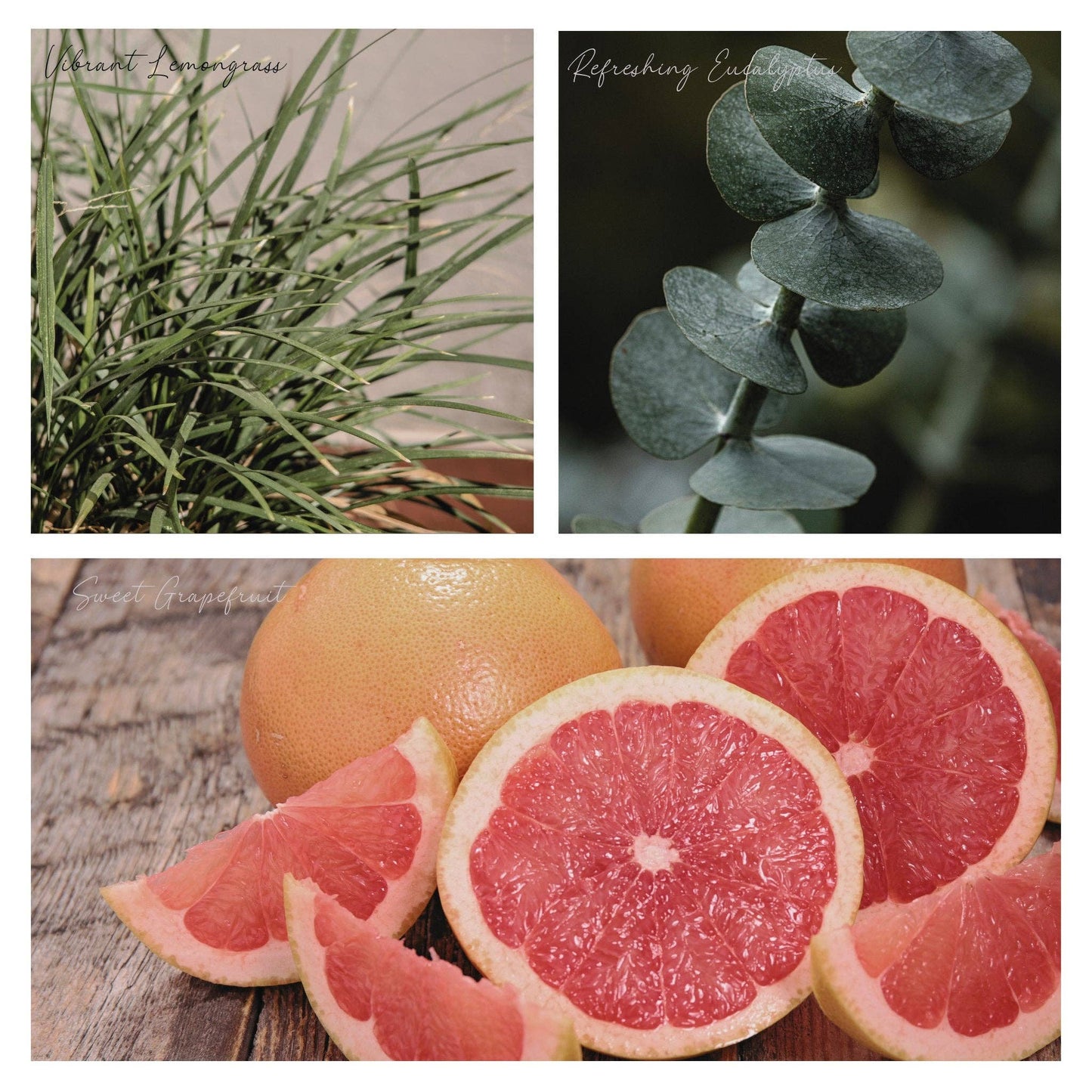 Be Sunny Simmer Melt, Botanical Scented Wax