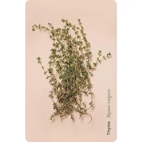 The Plant Portal Deck