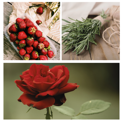 Be Celebrated Simmer Pot Mix, Limited Edition Holiday Aroma