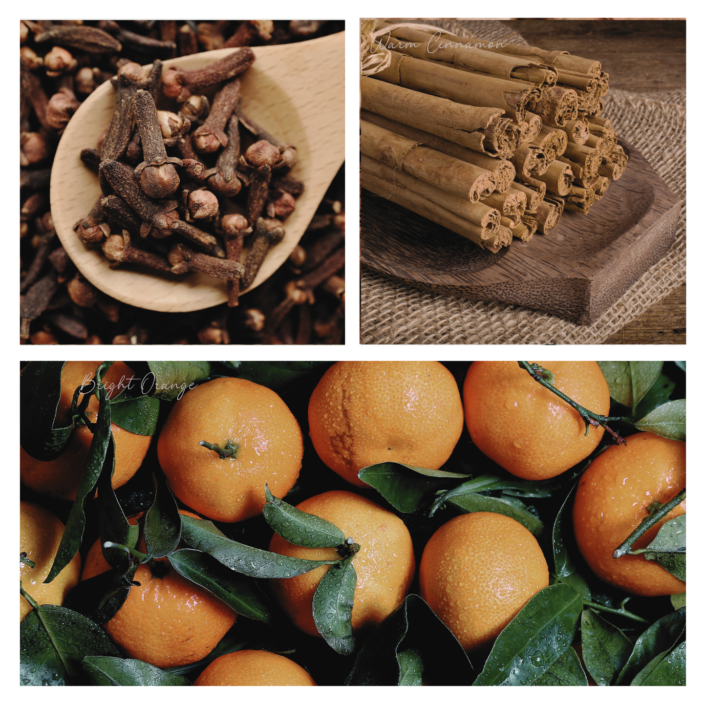 Be Merry & Bright Simmer Melt, Natural Holiday Spice Wax Cubes