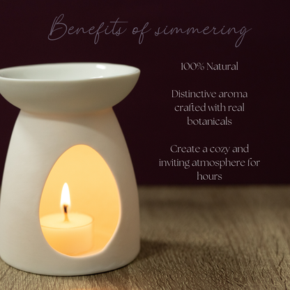 Be Merry & Bright Simmer Melt, Natural Holiday Spice Wax Cubes