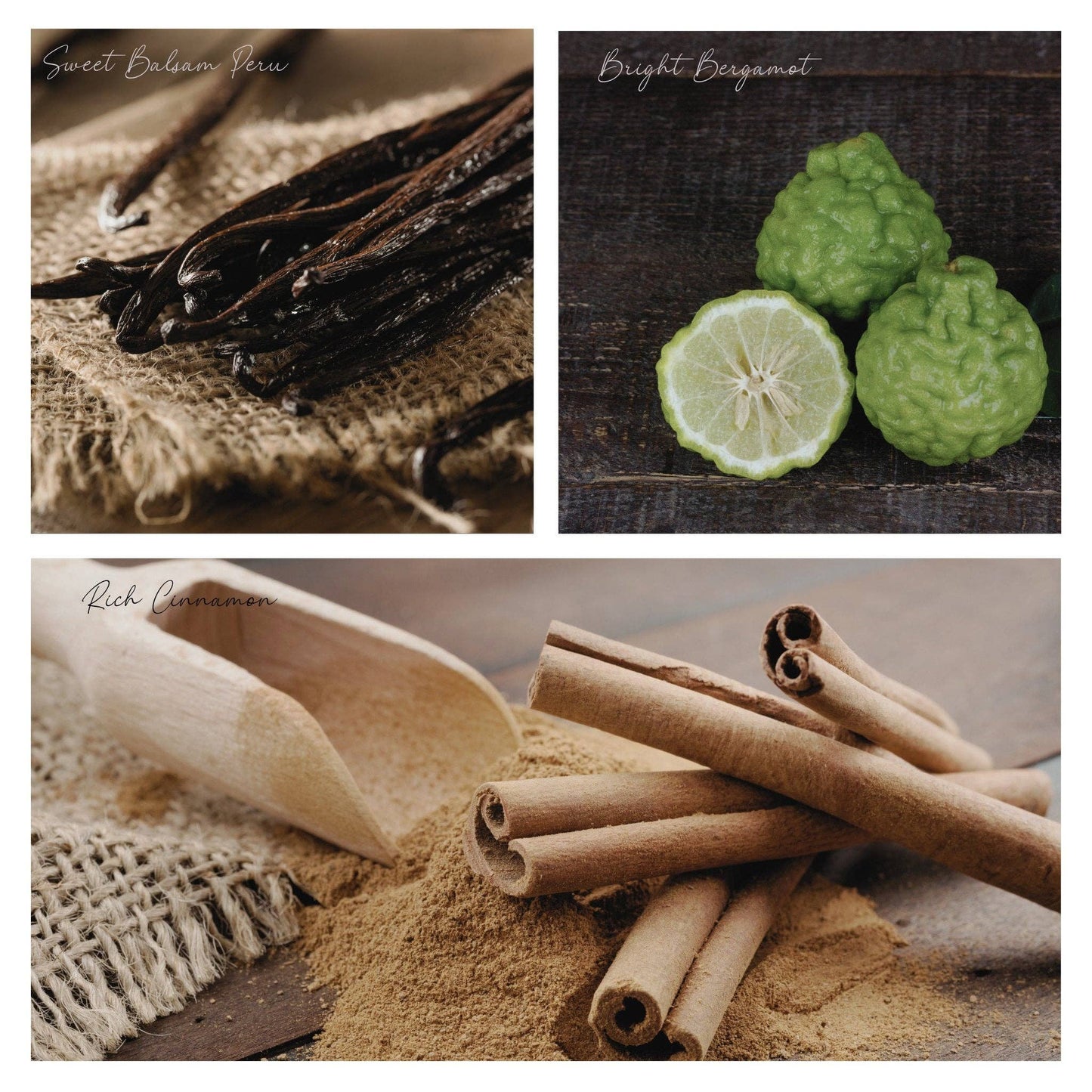 Be Glowing Simmer Melt, Botanical Scented Wax